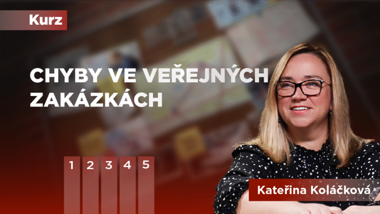 Chyby ve Veřejných Zakázkách
